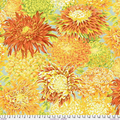 Philip Jacobs : Japanese Chrysanthemum in Yellow : Free Spirit