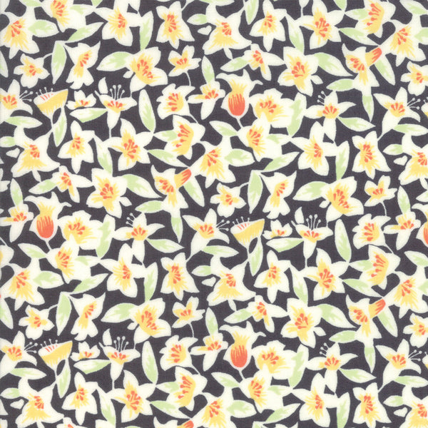 Fine and Sunny by Jen Kingwell : 18171-18 : Moda