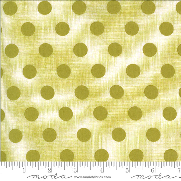 Winkipop by Jen Kingwell : Circulus in Kelp : Moda – Sarah's Fabrics