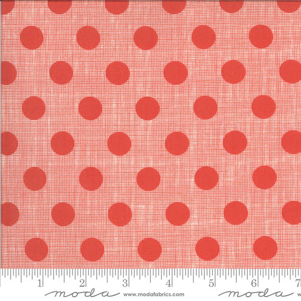 Winkipop by Jen Kingwell : Circulus in Rockface : Moda