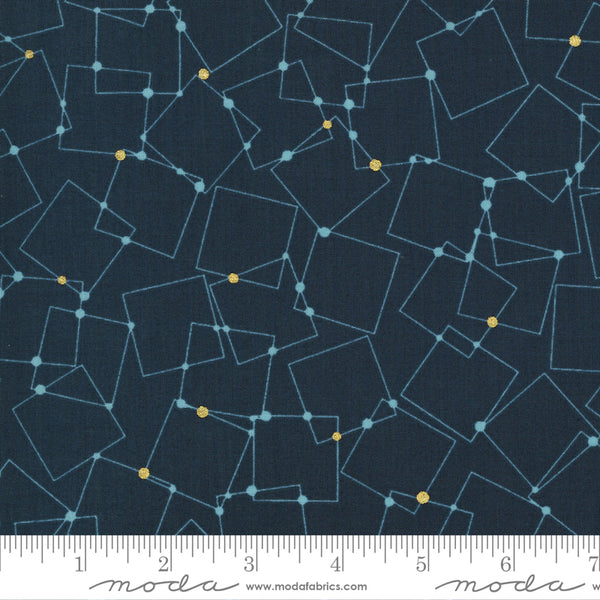 Dance in Paris by Zen Chic : Modern Foxtrot in Navy : Moda