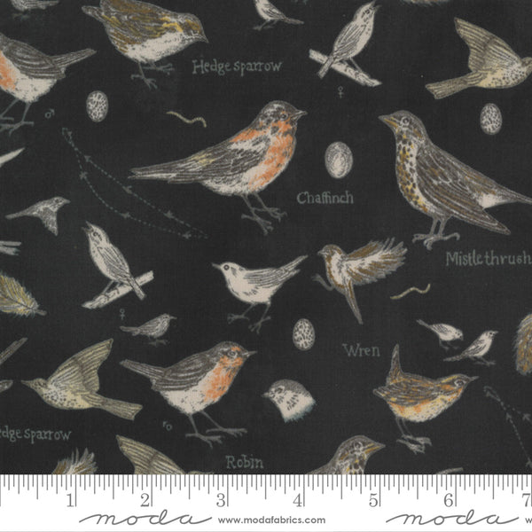 Botanicals by Janet Clare : 16910-16 Charcoal : Moda