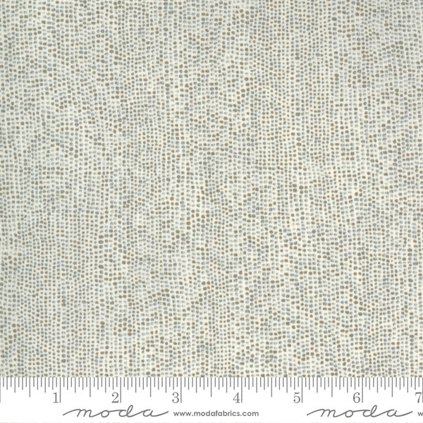 Botanicals by Janet Clare : 16915-12 Vintage Grey : Moda