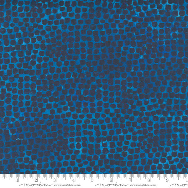 Starflower Christmas by Create Joy Project : 8485-15 Navy : Moda