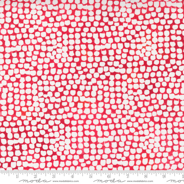 Starflower Christmas by Create Joy Project : 8485-16 Red : Moda