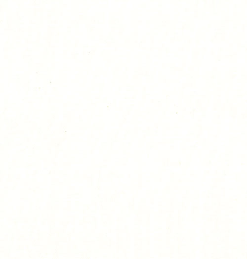 Bella Solid : Porcelain : Moda