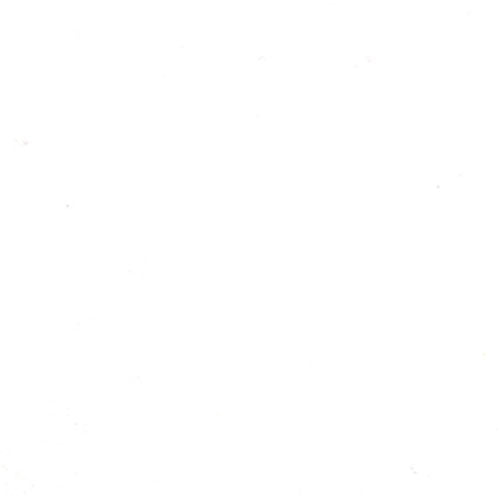 Bella Solid : Super White : Moda