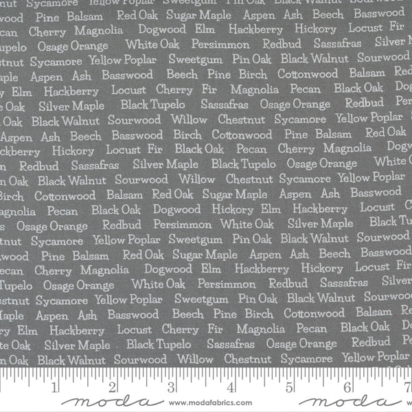 Cozy Up by Corey Yoder : 29124-26 : Moda