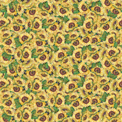 Golden Days by Dianna DonFrancisco : Sunflowers in Yellow : Blank