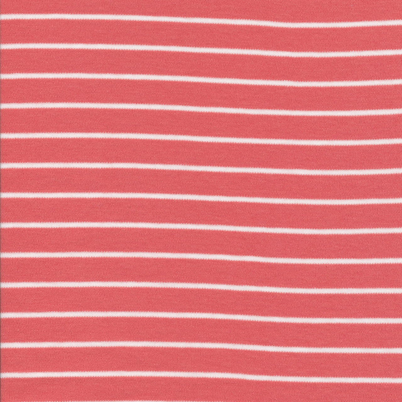 Stripes in Red and White : Cloud 9 : Organic Knit