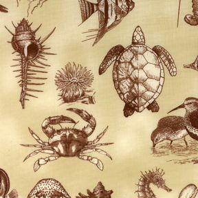 Sea Cliff : J8633 : Hoffman