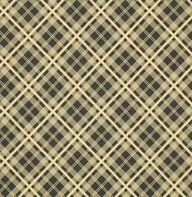 Chicopee by Denyse Schmidt : Simple Plaid in Black : Free Spirit