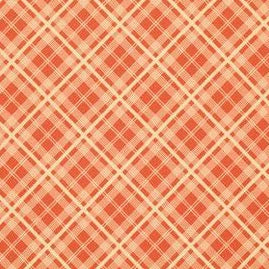 Chicopee by Denyse Schmidt : Simple Plaid in Red : Free Spirit