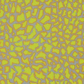 Brandon Mably : Crackle in Grey : Free Spirit