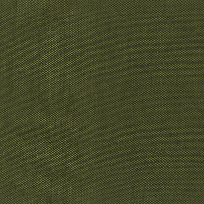 Artisan Cotton : Dark Olive Light Olive 40171-71 : Windham