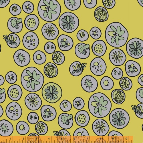 Succulents by Heather Givans : 40237-5 : Windham