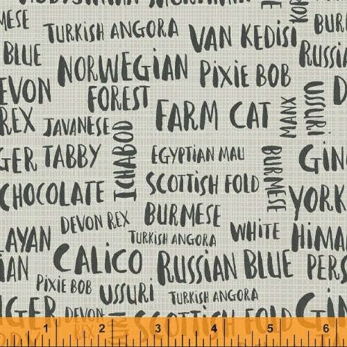 Hot Dogs and Cool Cats by Carolyn Gavin : Cat Names in Grey : Windham