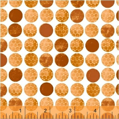 Smarty Cats by Maria Carluccio : 42840-6 : Windham