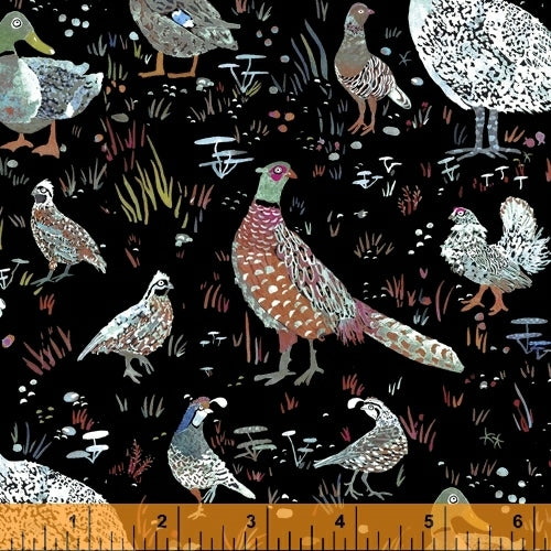 Fox Wood by Betsy Olmsted : Bird Season in Black : Windham