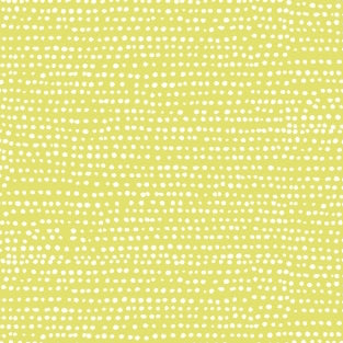 Moonscape in Endive : Dear Stella