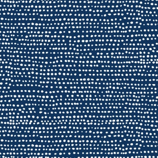 Moonscape in Peacoat : Dear Stella