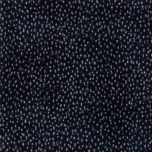 Weather Permitting by Janet Clare : 1463-21 : Moda