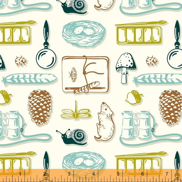 Summer School by Judy Jarvi : Field Day in Ivory : Windham