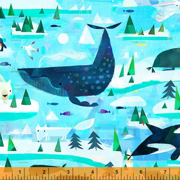 Icy World by Gareth Lucas : Arctic Scene : Windham