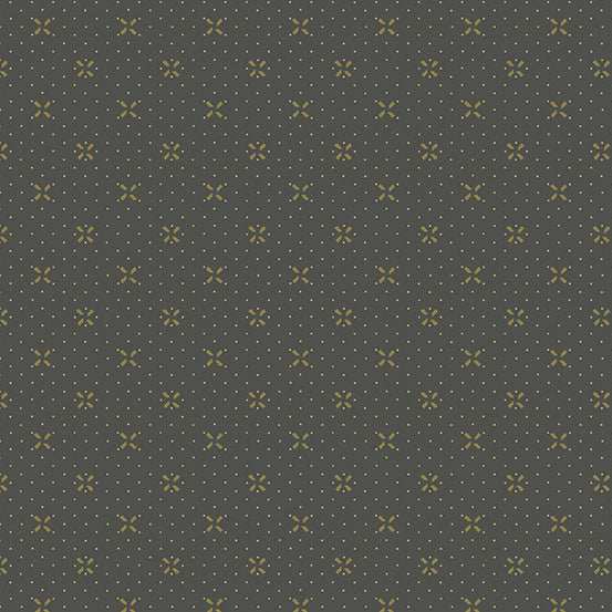 Veranda by Renee Nanneman : Whirlybird Dot in Charcoal : Andover