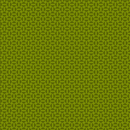 Century Rainbow : Geometric Grid in Guacamole : Andover