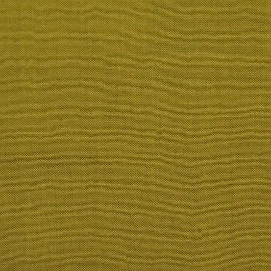 Kaleidoscope by Alison Glass : Lichen : Andover