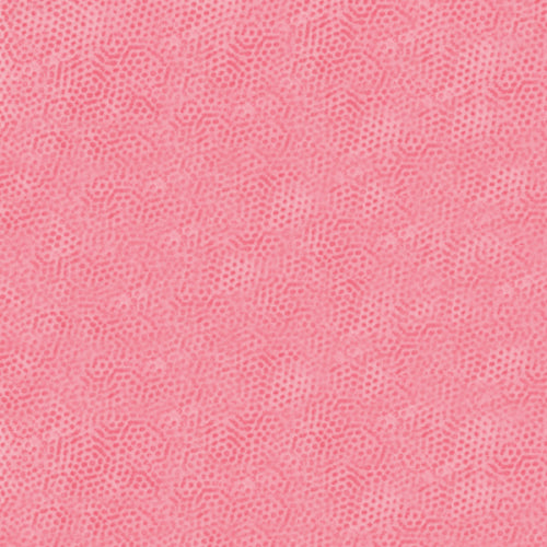 Dimples by Gail Kessler : Dimples in Carnation : Andover