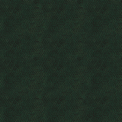 Dimples by Gail Kessler : Dimples in Hunter : Andover