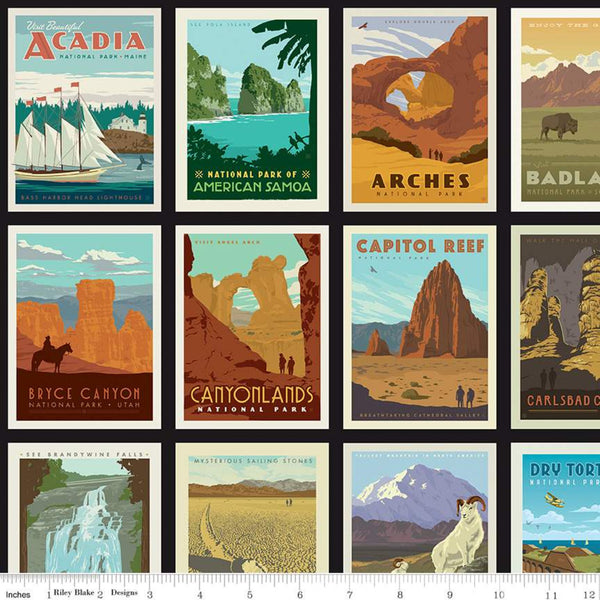 National Parks by Anderson Design Group : National Parks Posters in Black : Riley Blake : Panel