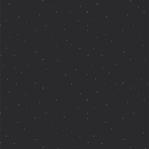 Duality Fusion : Specktacular in Black : Art Gallery