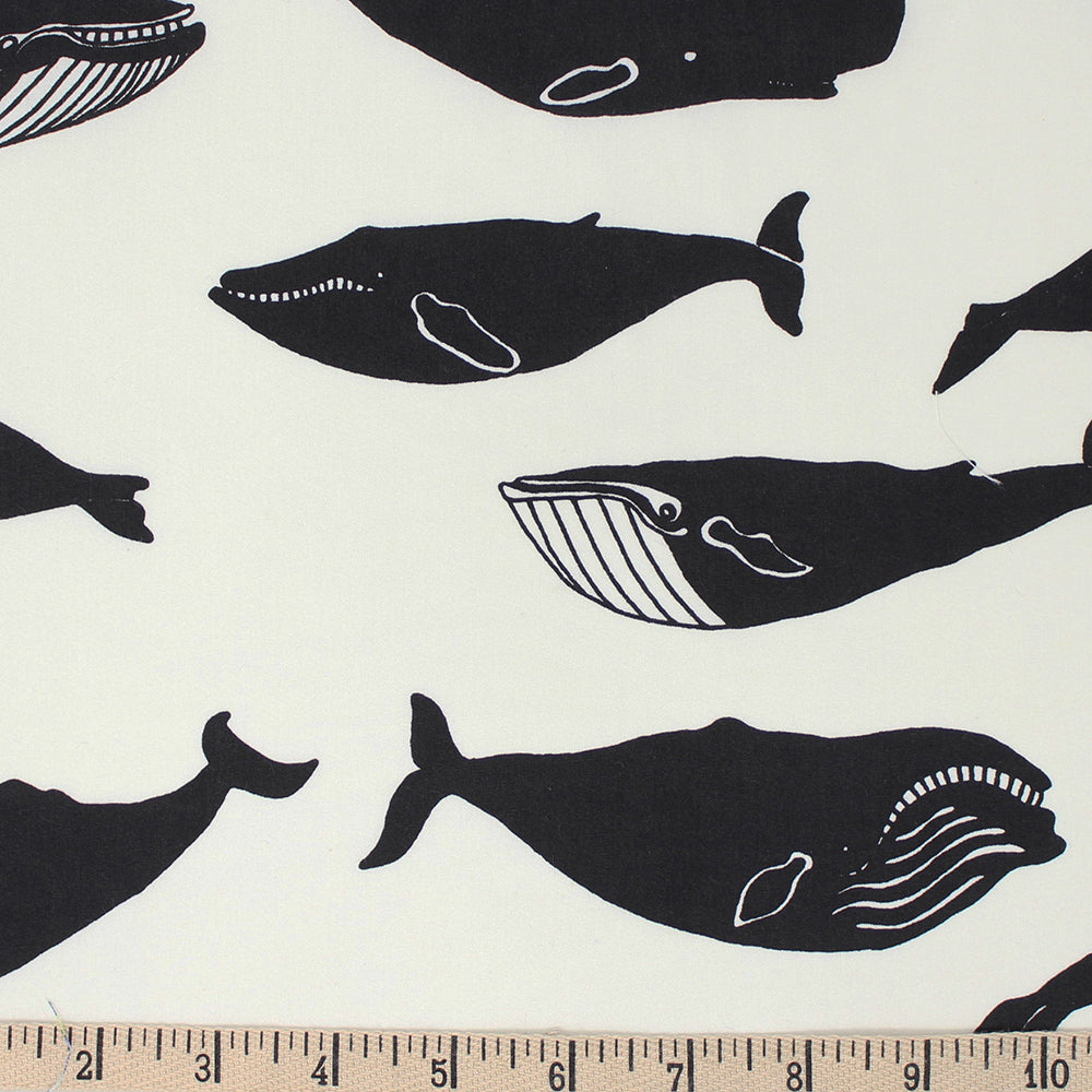 Inkwell : Whale Pod in Cream : Birch Fabrics : Organic