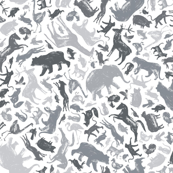 Can Animals Count? : 10080K : Maywood Studios