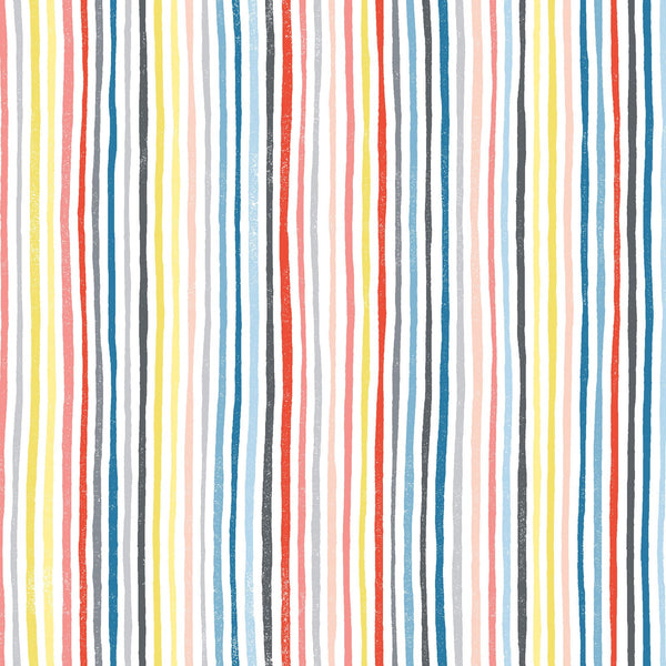 Can Animals Count? : 10084Z : Maywood Studios