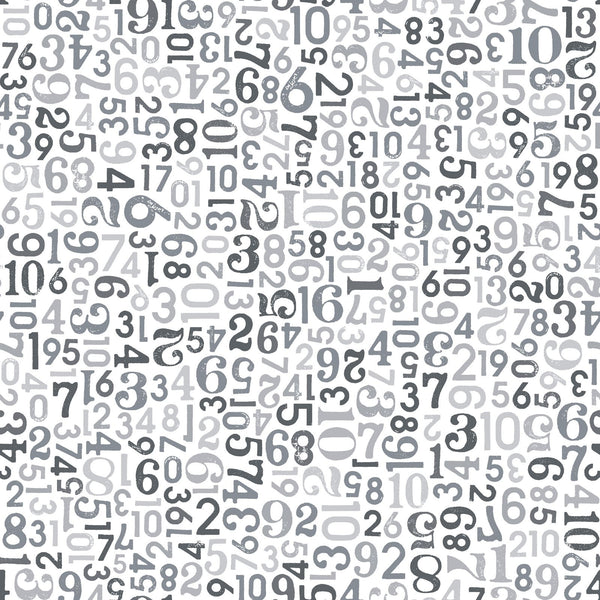 Can Animals Count? : 10085K : Maywood Studios