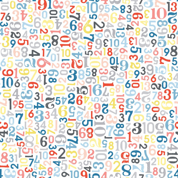 Can Animals Count? : 10085Z : Maywood Studios