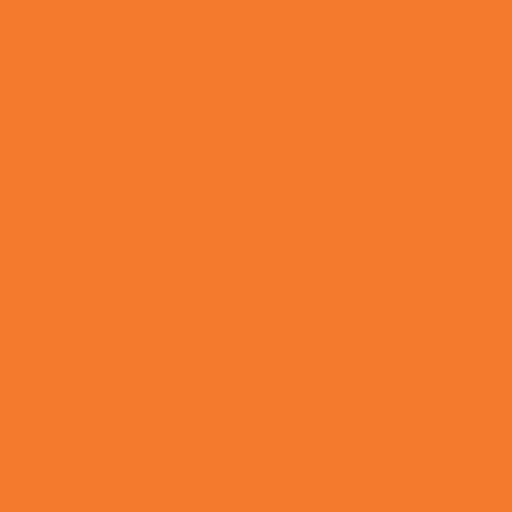 Pure Solids : Burnt Orange : Art Gallery