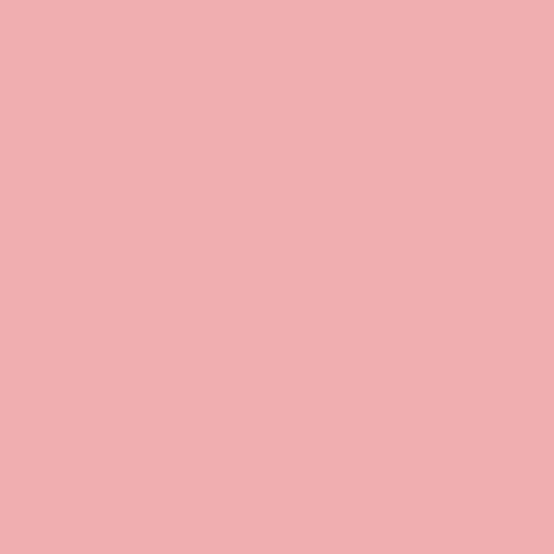 Pure Solids : Quartz Pink : Art Gallery