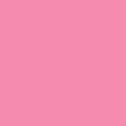 Pure Solids : Sweet Pink : Art Gallery