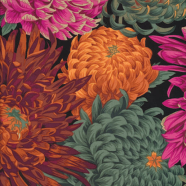 Philip Jacobs : Japanese Chrysanthemum in Red : Free Spirit