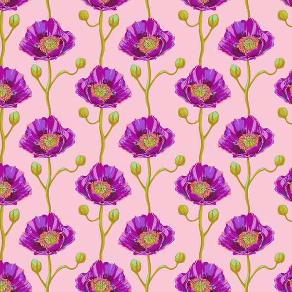 Bright Eyes by Anna Maria Horner : Cheering Section in Blush : Free Spirit