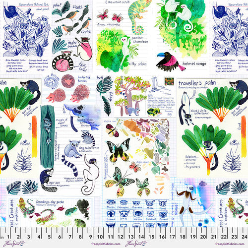 Madagascar Adventure by Katy Tanis : Field Notes in Multi : Free Spirit