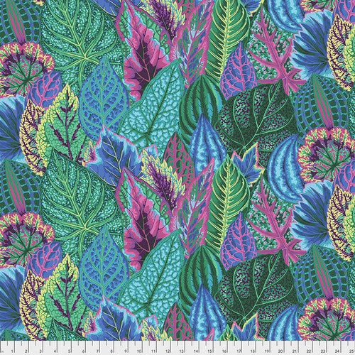 Philip Jacobs : Coleus in Turquoise : Free Spirit