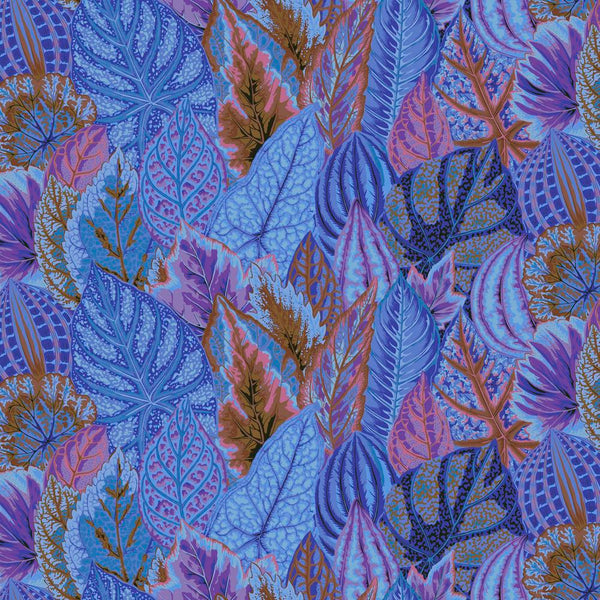 Philip Jacobs : Coleus in Blue : Free Spirit