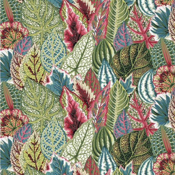 Philip Jacobs : Coleus in Green : Free Spirit