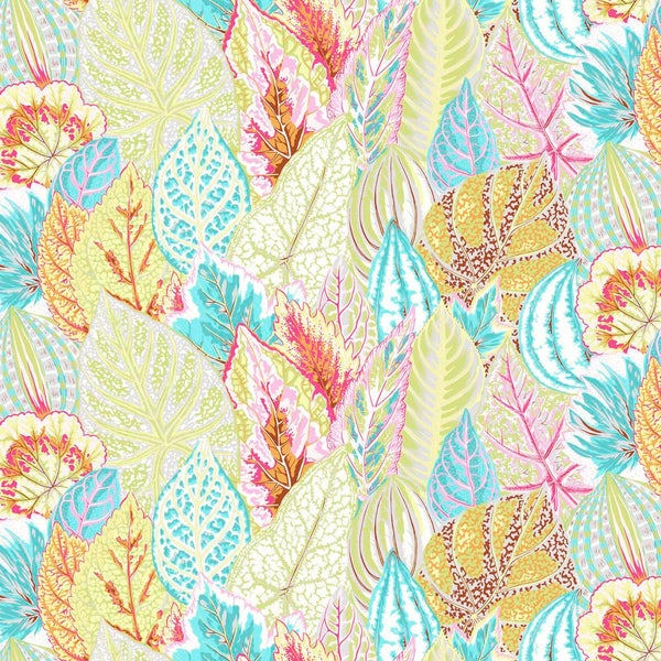 Philip Jacobs : Coleus in Grey : Free Spirit